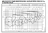NSCF 125-315/1100/W25VCC4 - График насоса NSC, 4 полюса, 2990 об., 50 гц - картинка 3